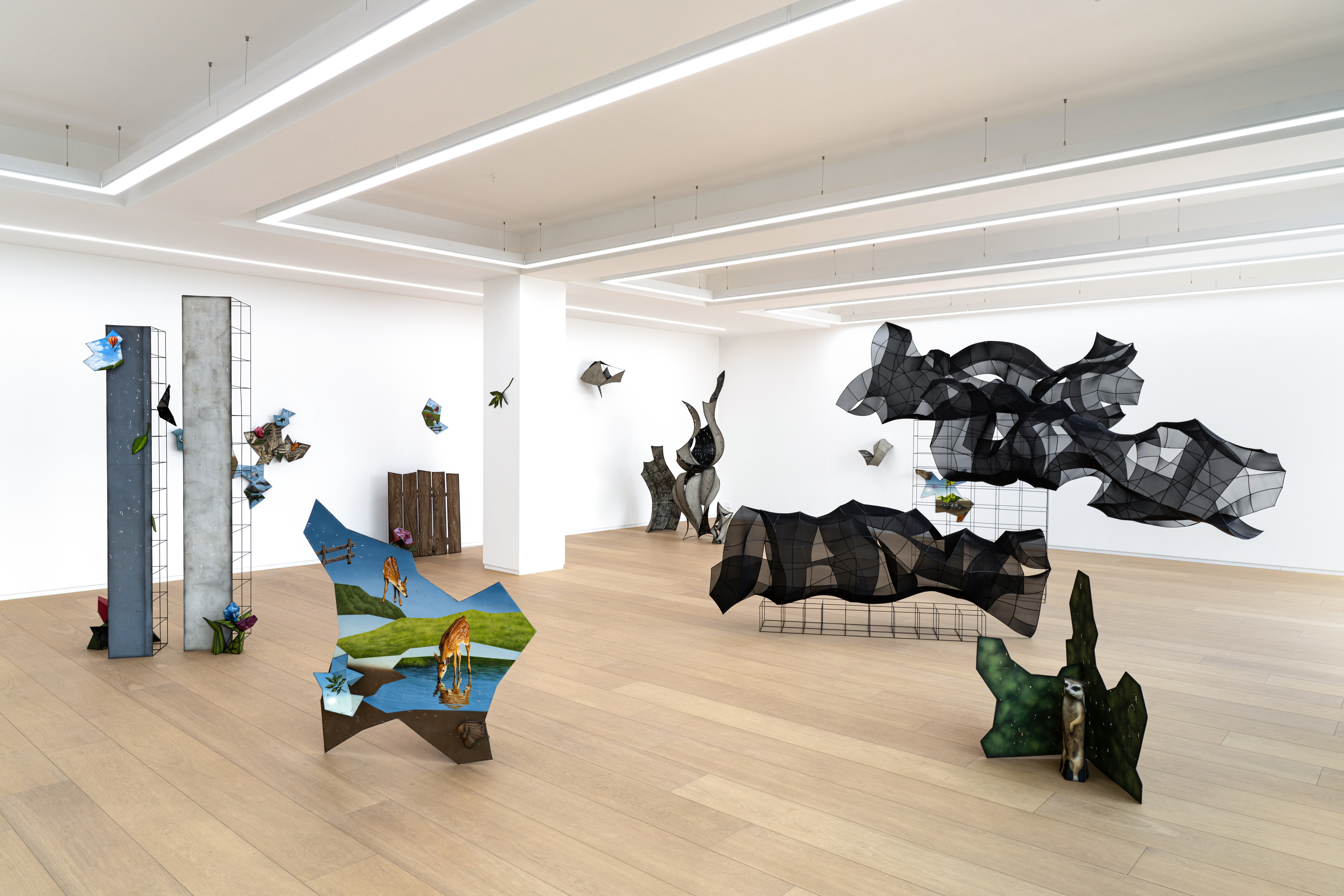 installation view image