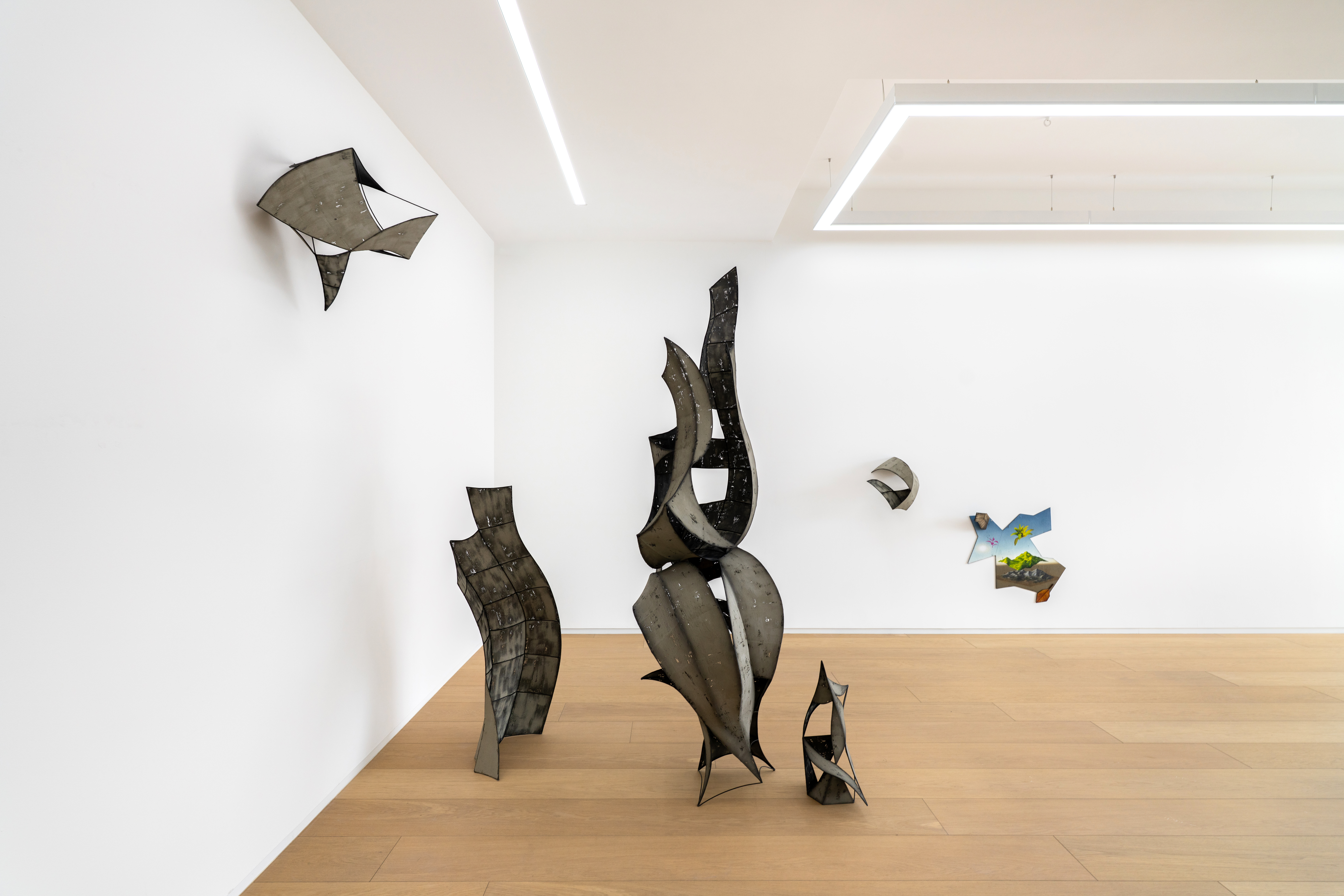 installation view image