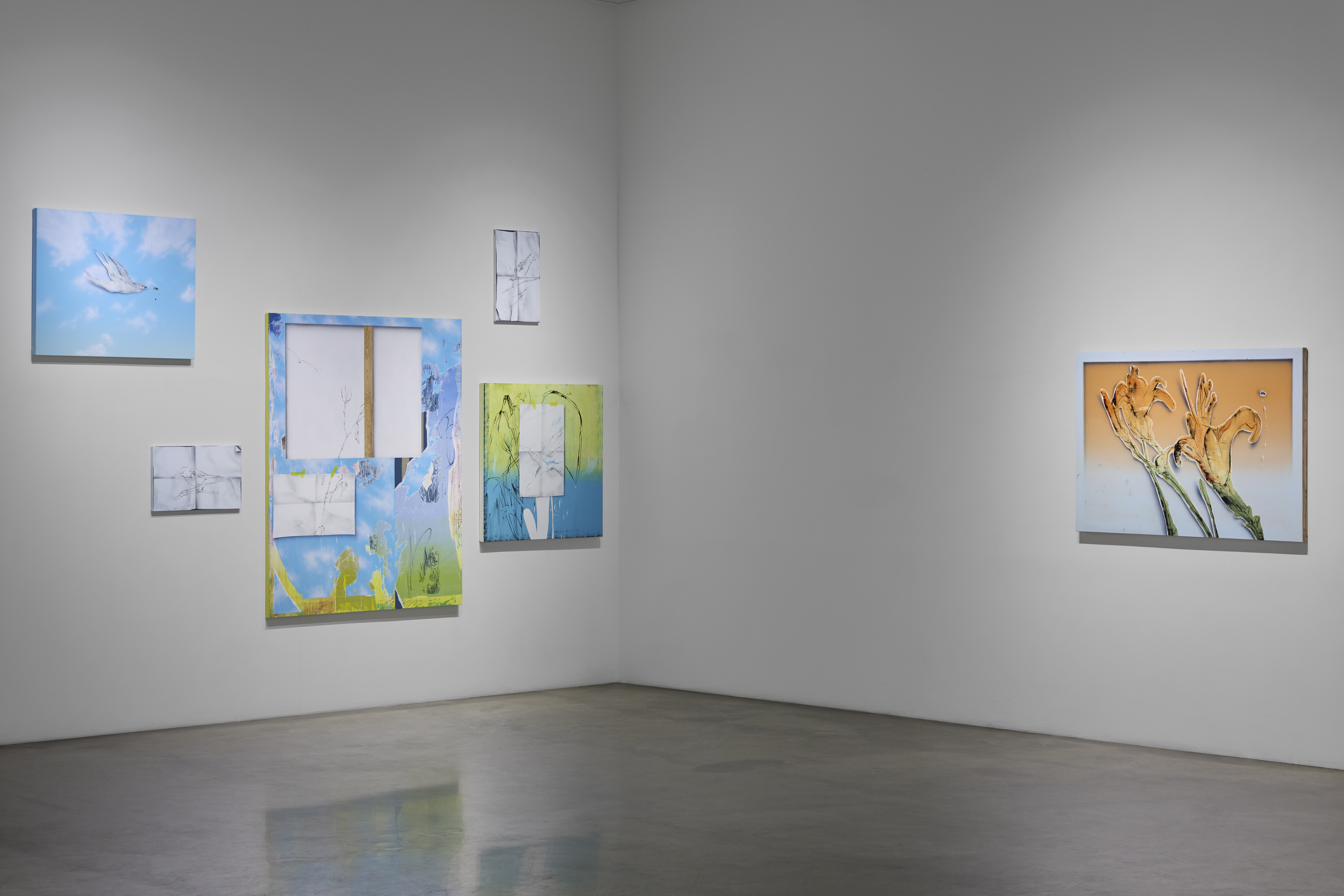 installation view image