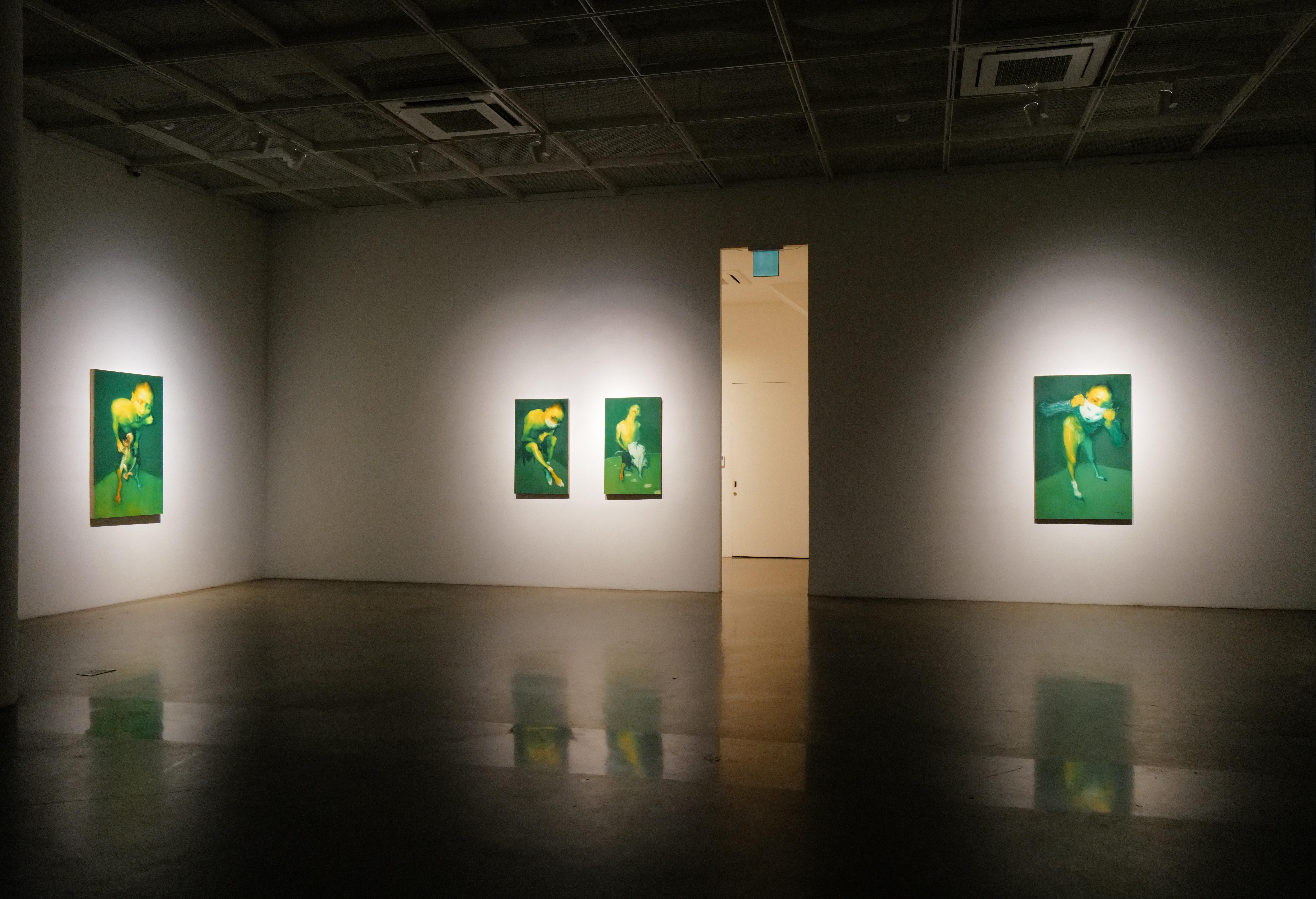 installation view image