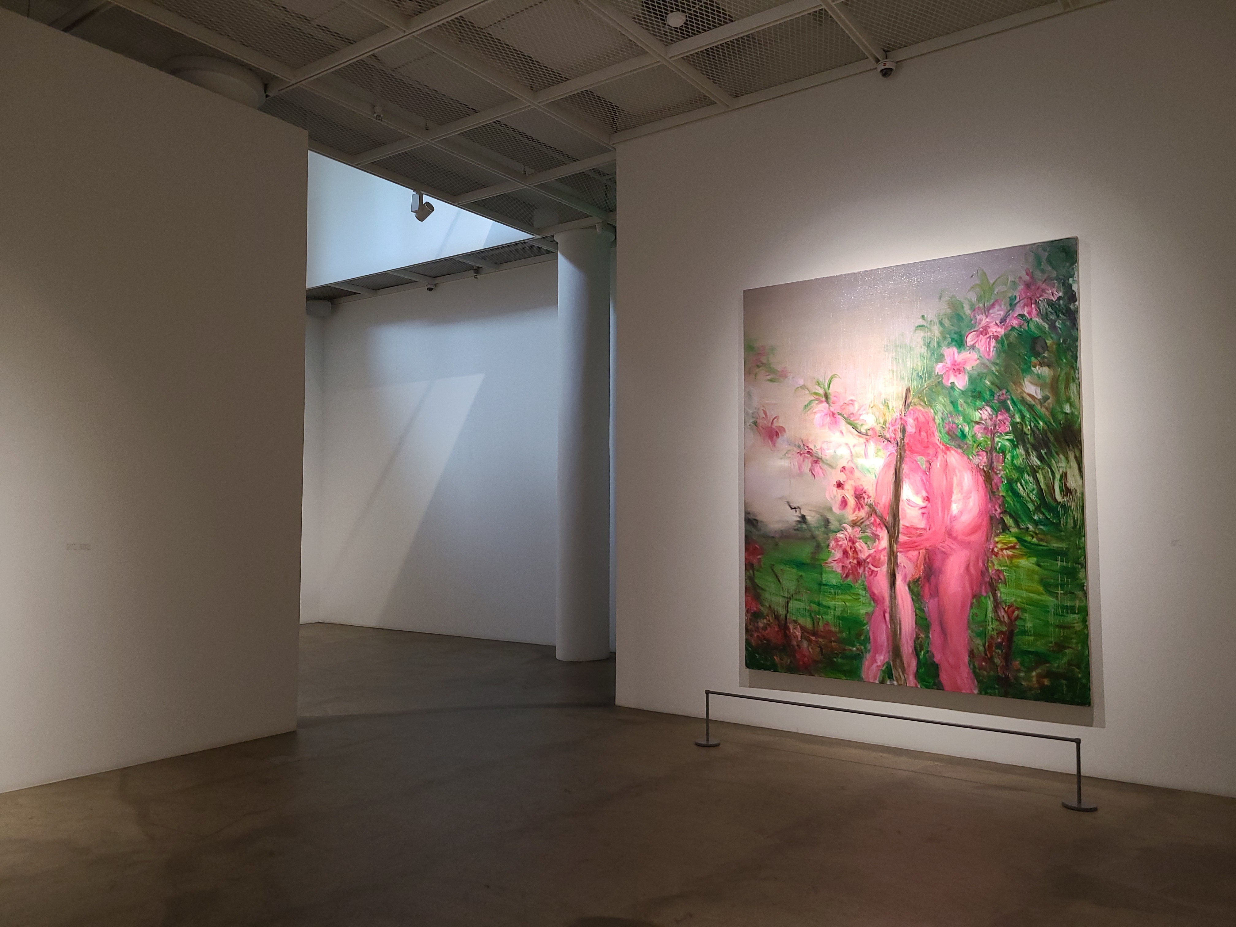 installation view image