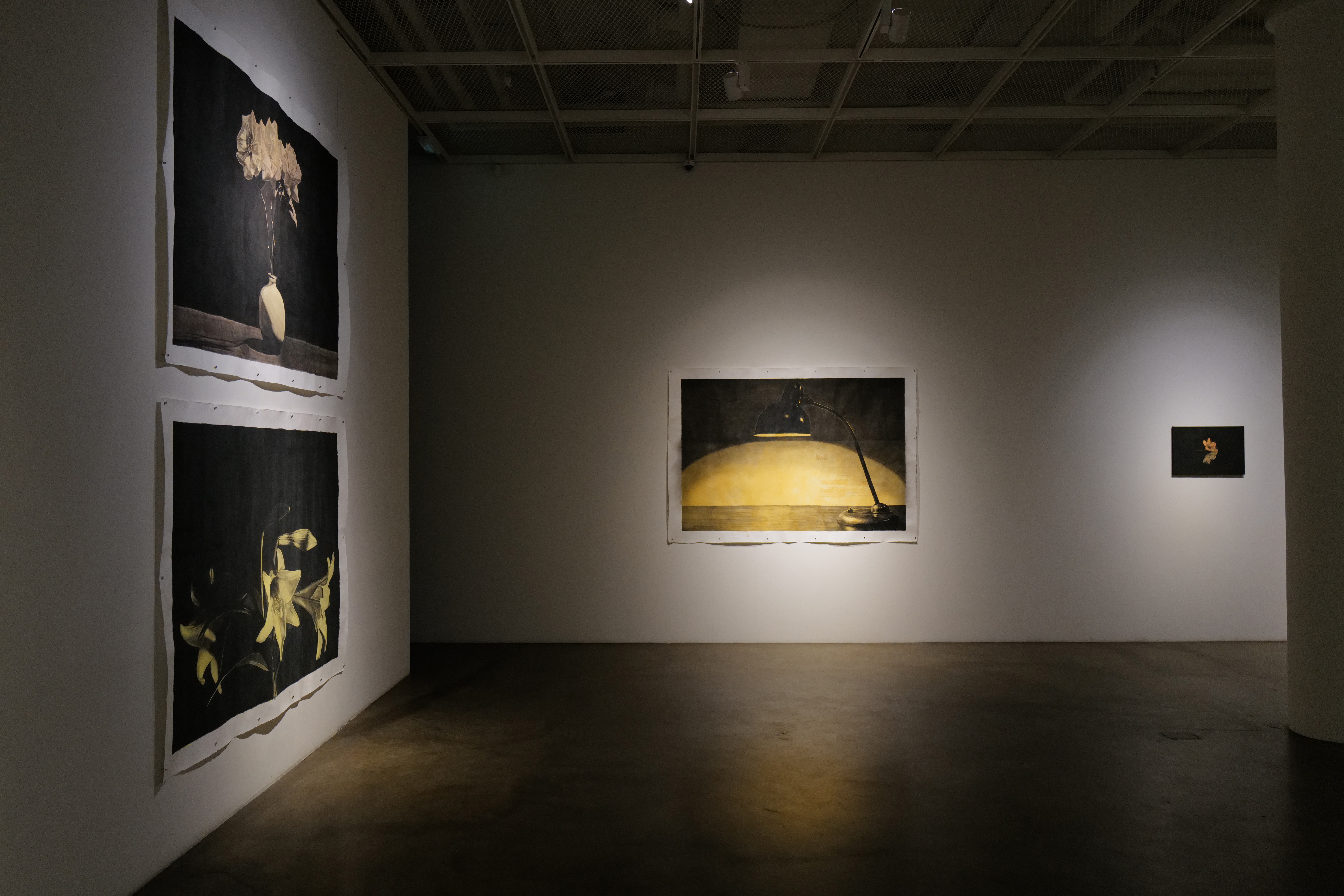 installation view image